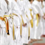 Karate Lessons for Children